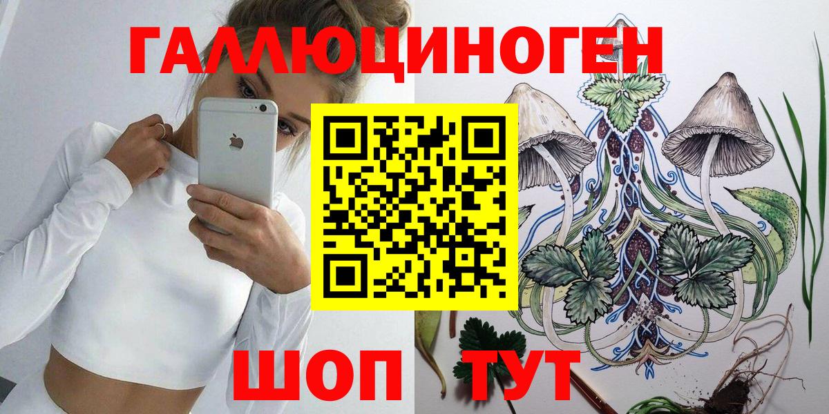 Псилоцибиновые грибы Psilocybine cubensis Орск