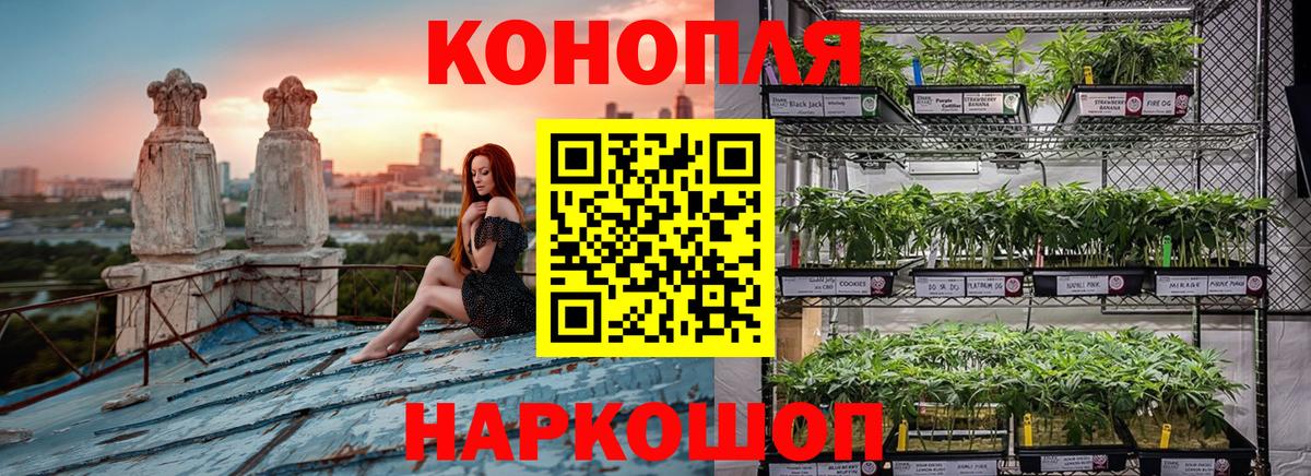 Шишки марихуана AK-47 Орск